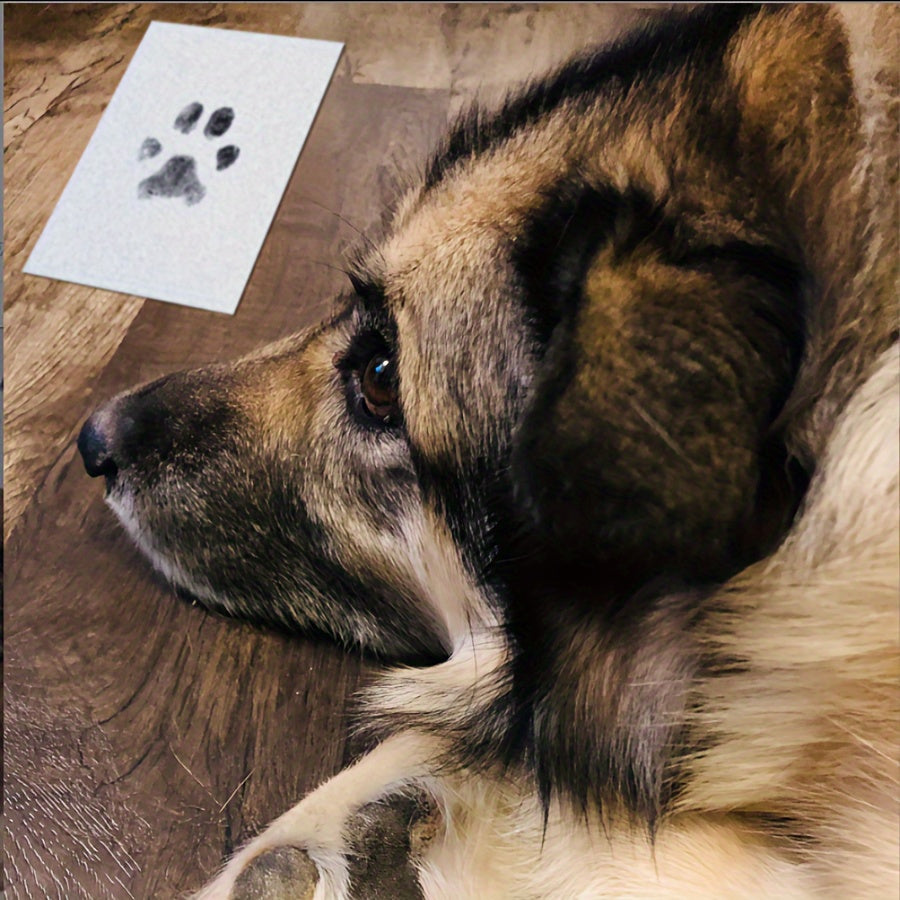 Set amprentă lăbuțe animale – 1 tampon cerneală + 2 carduri amprentă