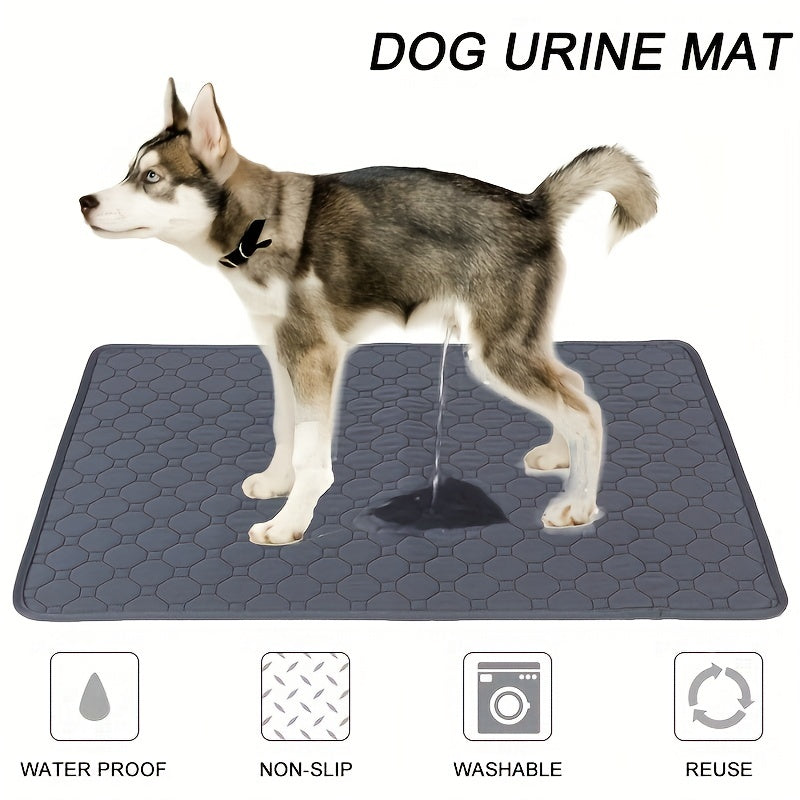 Covorașe absorbante lavabile și reutilizabile pentru animale – 4 straturi, antiderapante, ușor de curățat, pentru câini și pisici, interior și exterior